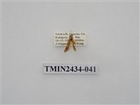 藏品(雙線苔蛾)的圖片